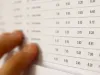 53 de promovaţi în plus la Bacalaureat, după contestaţii. „Meşotă” şi „Honterus”, singurele după reevaluare cu promovare 100%