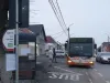 Rata de Braşov, a 2-a strigare: 48 de trasee de transport public de călători vor fi relicitate  