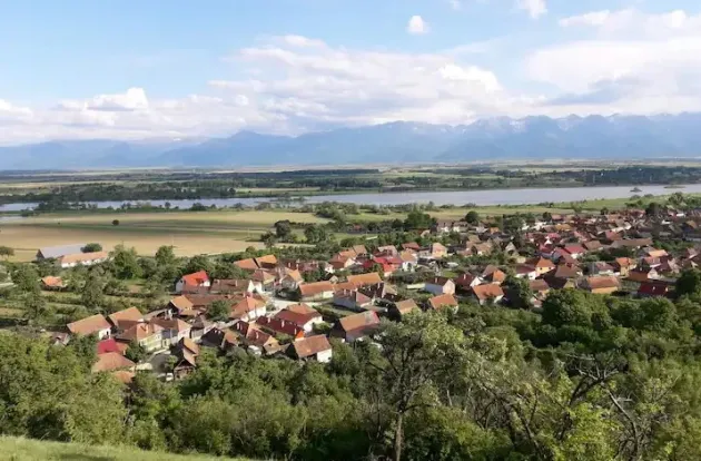 Ucea de Sus şi Făgăraş: Alţi „domni” daţi pe mâna Poliţiei