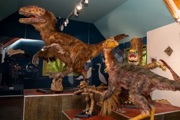 10 dinozauri cu pene reconstituiţi şi prezentaţi la Râşnov
