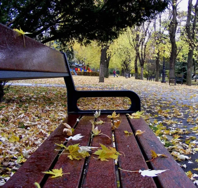 1 milion de lei: Primăria nu a găsit o firmă care să înnoiască mobilierul de pe străzile Braşovului