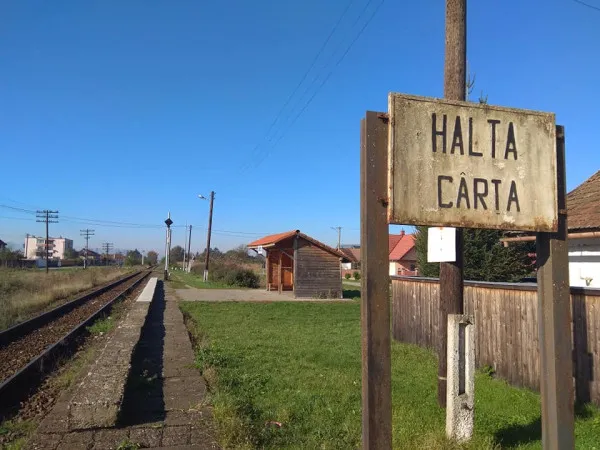 Pesta porcină se apropie iar de Brașov
