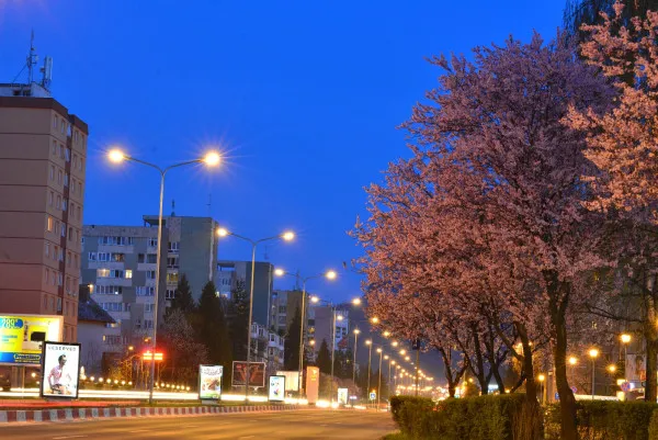 O eroare de sistem şi problema „goanei după click-uri”