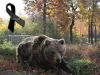 Mesaj pentru Tanya, plecată în Ursa Mare