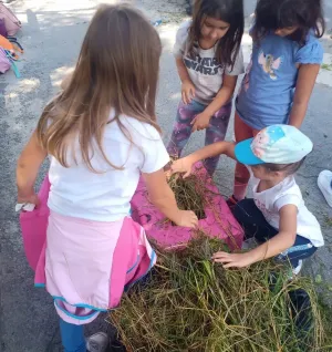 Gratis la ZOO, marţi, de Ziua internaţională a grădinilor zoologice, pentru copiii de până în 14 ani