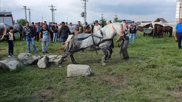 Razie în târg, la Prejmer