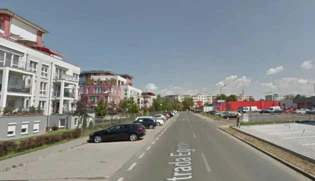 La 3 noaptea, au chemat Poliţia pe Egretei