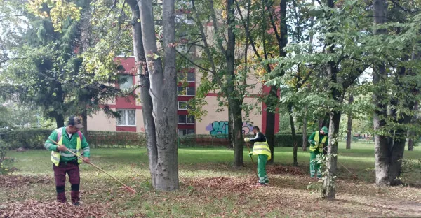 Şase săptămâni de curăţenie în municipiul Braşov