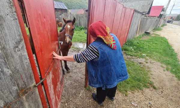 Poştăriţa dintre clanuri