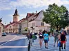 Covid: 53 de noi cazuri de infectare, în 24 de ore, la Braşov