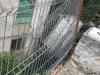 Accident de începător în ale condusului: a lovit maşina parcată, s-a izbit de gardul din partea opusă şi a ajuns în şanţ