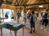 Viscri 163: 100 de euro, la Prinţul Charles acasă