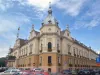 Şedinţe de Consiliu Local, posibil şi în alte spaţii. Să vină şi braşovenii 