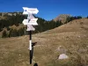 Cele mai mari creşteri din turism. Cluj și Sibiu, înaintea Brașovului