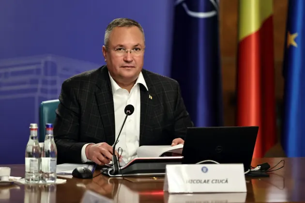 Din şedinţă de Guvern: Carburanţi, lemne de foc, becuri cu filament