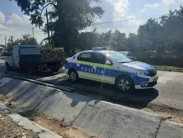Pe urmele hoţilor de lemne, la Sânpetru, Crizbav şi Dumbrăviţa