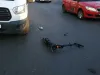 Poliţele RCA, obligatorii şi pentru trotinetele electrice