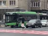„Artistul” era din Spania