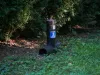 Combaterea insectelor, şobolanilor şi paraziţilor din municipiul Braşov, estimată la 54,7 milioane de lei