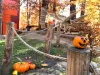 Dinozaurii de la Râșnov se pregătesc de Halloween