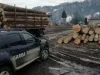 Gater din Voila, amendat de două ori