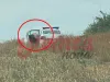 Poliţia, în fundul gol!