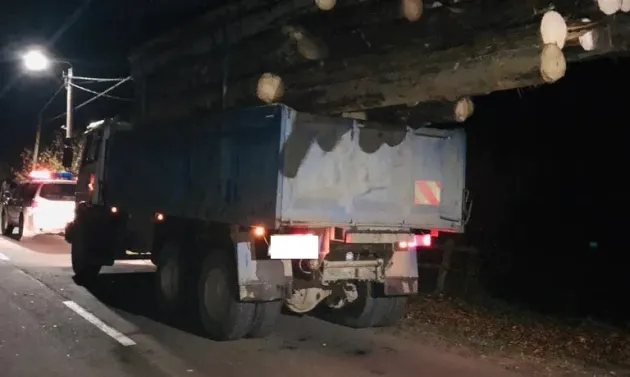 Se înmulţesc hoţii de lemne: 22, în 22 