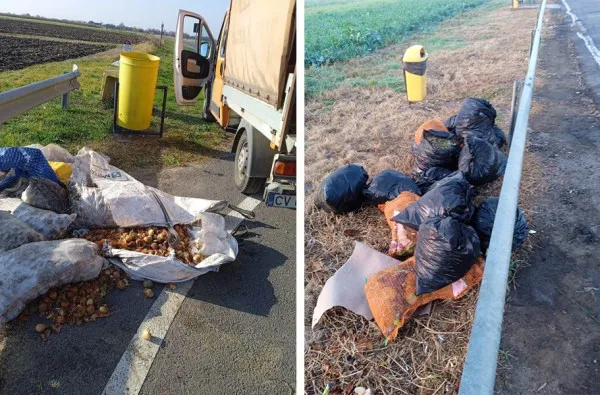 La piaţă scumpe, la Sfântu putrezesc pe marginea drumului: ceapă, cartofi, varză