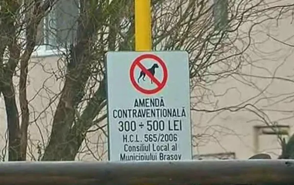 Au apărut prin Braşov:  coşuri cu tot cu pungi pentru „noroc” de câini