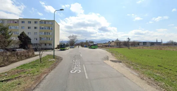 Fundăturii sau Albinelor?