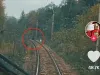 Familie de urşi, în faţa trenului: Filmaţi în direct de un mecanic de locomotivă, între Predeal şi Timişu de Sus  