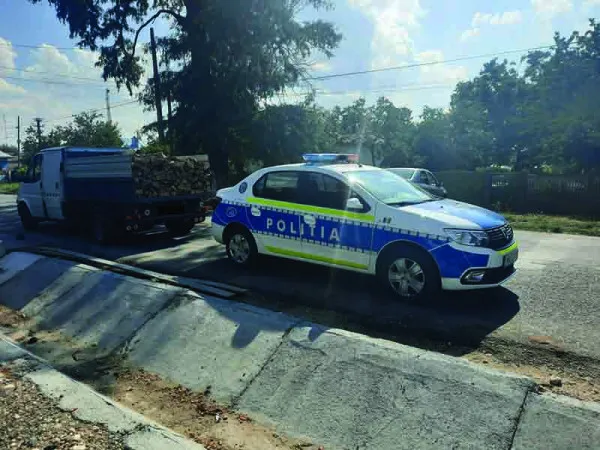 Fura sub ochii pădurarului, nu s-a atins de el până n-a venit Poliţia