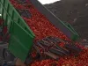 Marfă pentru Piaţa Stupini: Un camion de mere „toxice”din Ucraina