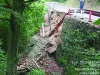 Lucrările urgente de pe Drumul Poienii, încetinite de birocraţie