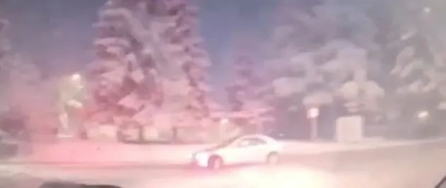 Prinşi făcând drifturi, în Poiană