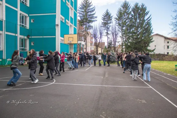 Clasele de modulare de la „Emil Racoviţă”, imposibil de realizat