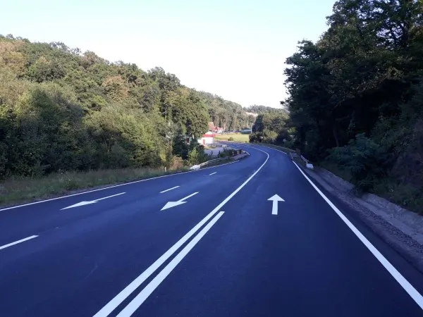 Prins cu permis fals, „de Italia”, în Pădurea Bogăţii