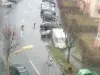 AMP Braşov cere controale la proprietarii de câini