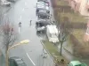 Pierdut haită de câini
