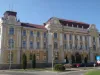 La 16 ani le-a deschis proces părinţilor: vrea să se mărite