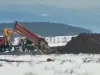 „Peneş Curcanul”: S-a confirmat gripa aviară şi la cea de a 3-a fermă