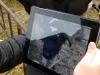 Elevii braşoveni vor deveni grădinari 