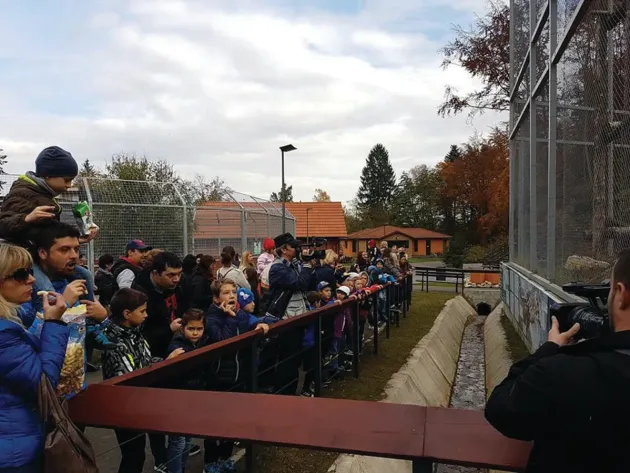 Noutatea anului 2023 la Grădina Zoologică Braşov: abonamentul anual