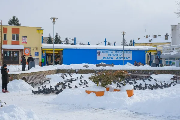 Piaţa Astra Braşov: 26 de spaţii libere la închiriat: de la 12 euro/mp/lună