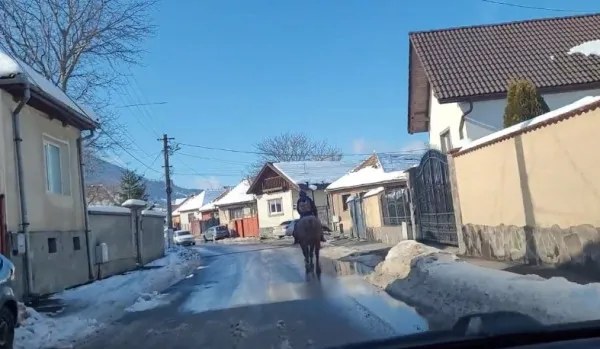 Poza zilei vine de la Zărneşti