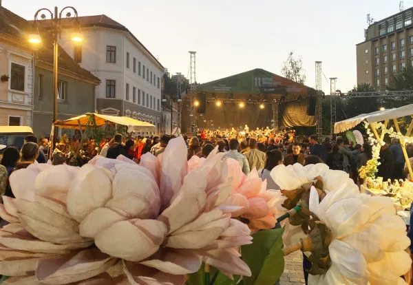 Nu mai e „pro bono”: Primăria Braşov caută experţi pentru proiectele culturale