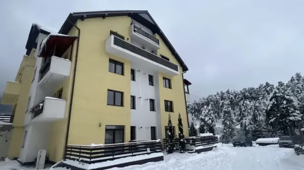 „Femei frumoase şi ieftin de trăit”: de la Braşov, într-un apartament ieftin, şi-au început fraţii Tate visul de mărire