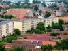 Codlea nu mai poate fi municipiu, Predeal şi Rupea ar trebui să fie sate