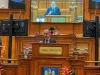 Deputatul braşovean Marian Rasaliu, vicelider al Grupului PSD din Camera Deputaţilor