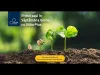 Platformă cu activităţi pentru elevi în „Săptămâna verde”, lansată de Minister pe ultima sută de metri